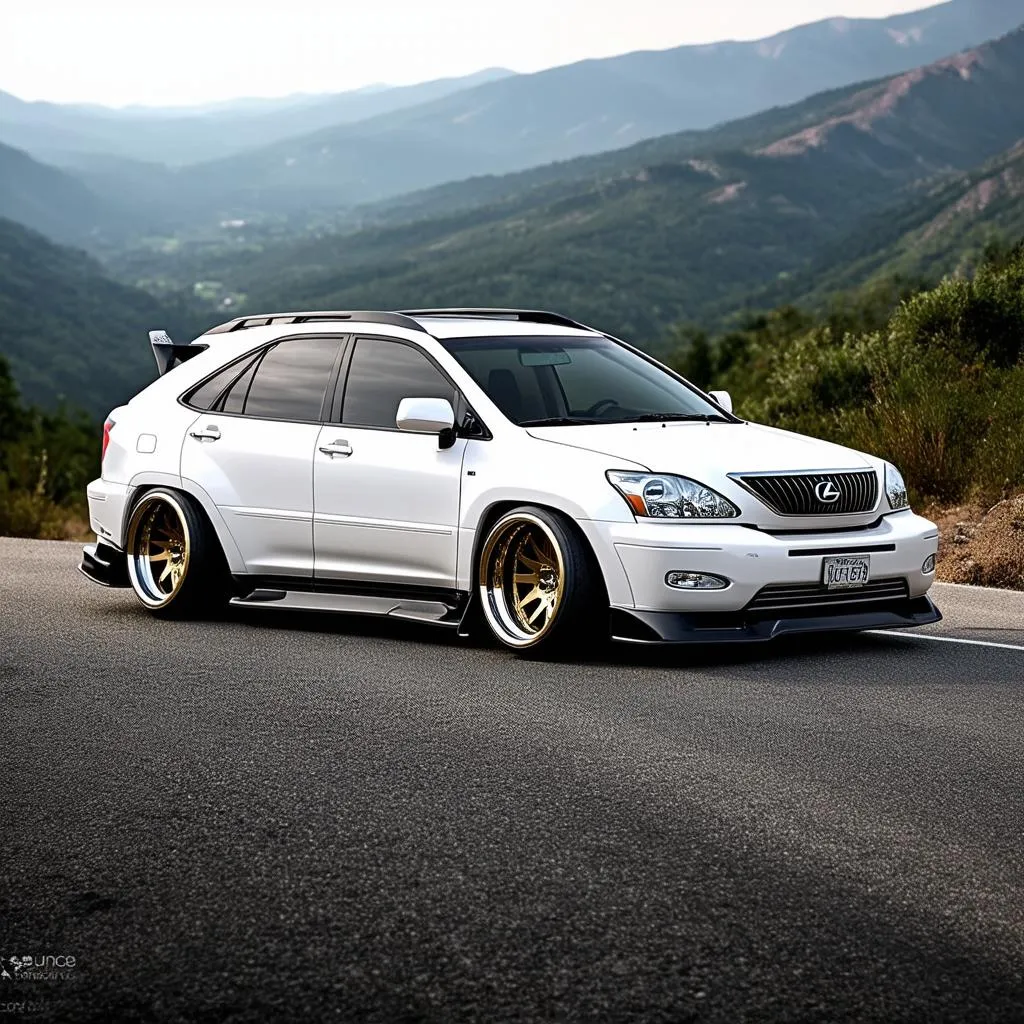 Lexus RX300 Modified Exterior