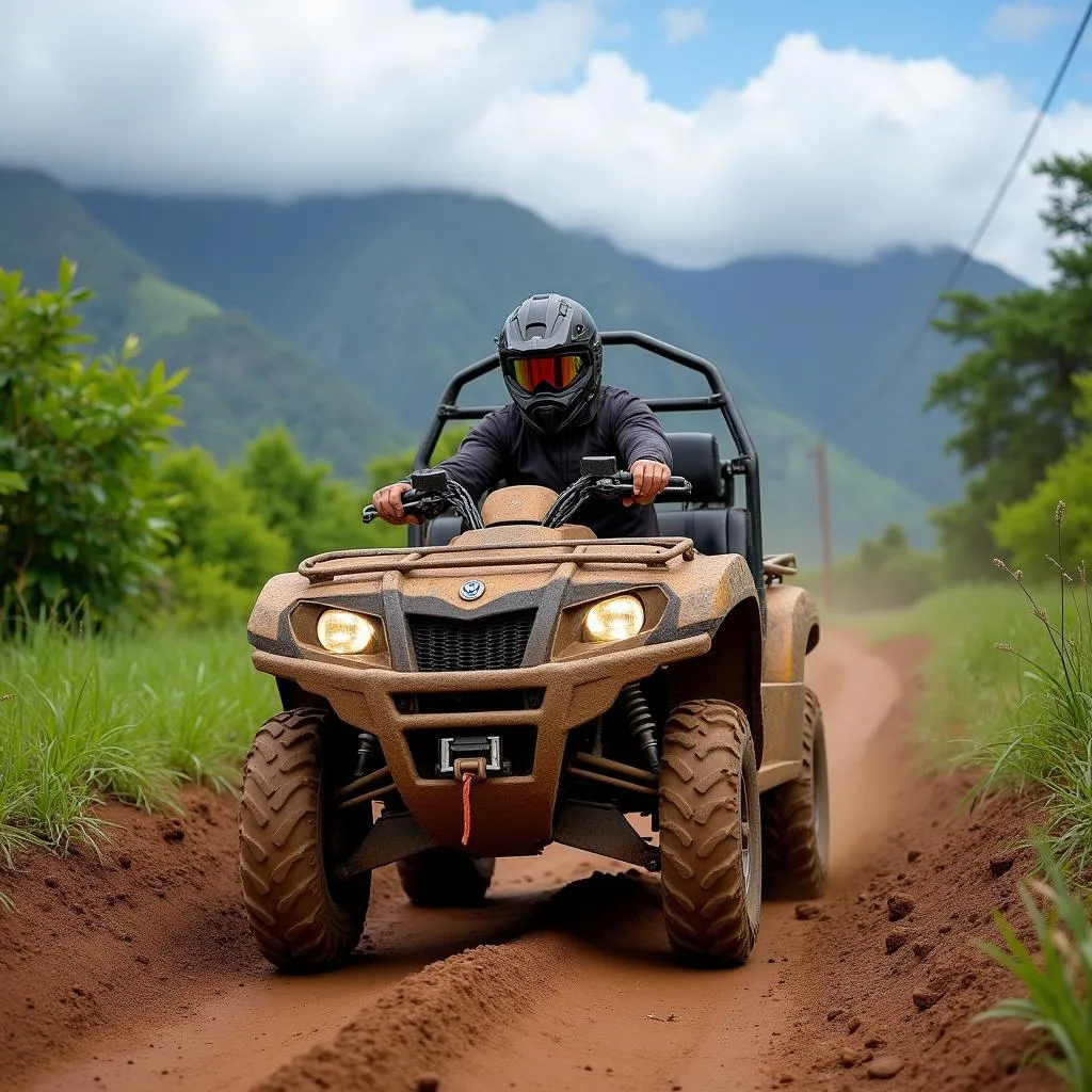 Voiture tout-terrain à Honolulu