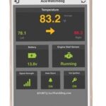 AceWatchDog smartphone interface displaying K9 car alarm status